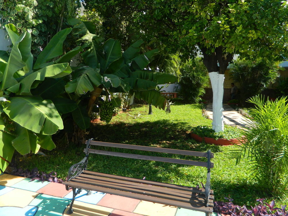 Hotel Colon Mérida Exteriér fotografie